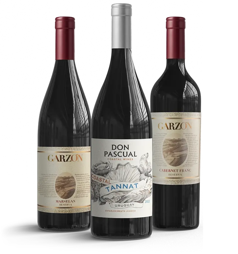 Taste of Uruguay - Reds (Free Shipping)