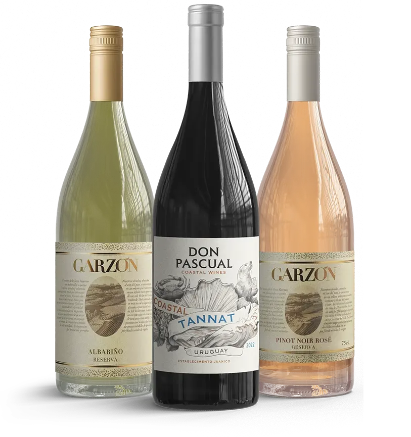 Taste of Uruguay - Mixed Set  (Free Shipping)