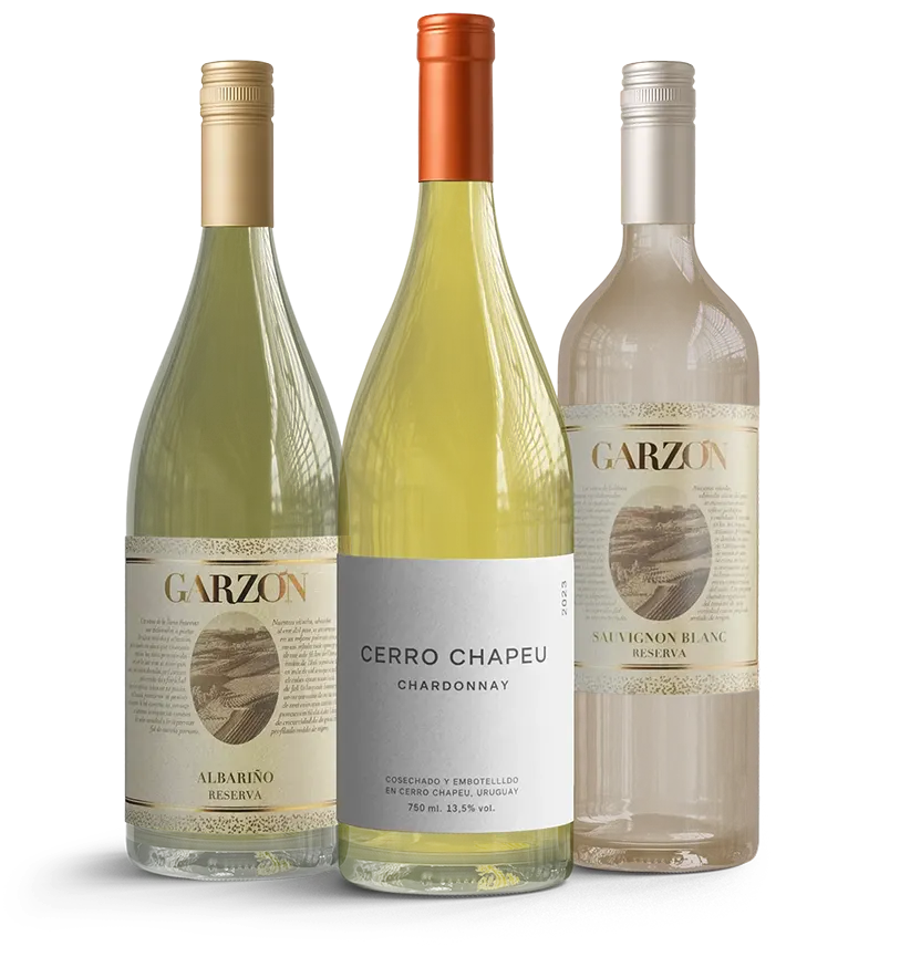 Taste of Uruguay - Whites (Free Shipping)