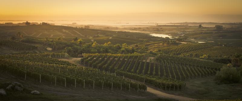 South America's Best Kept Secret