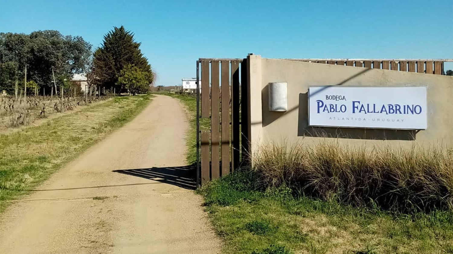 Bodega Pablo Fallabrino