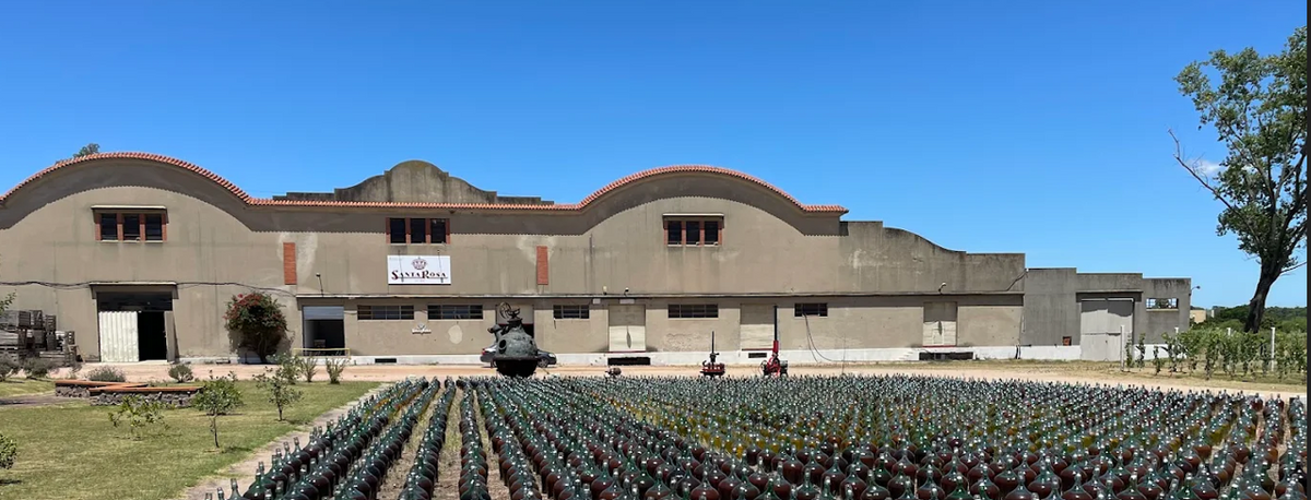 Bodega Santa Rosa