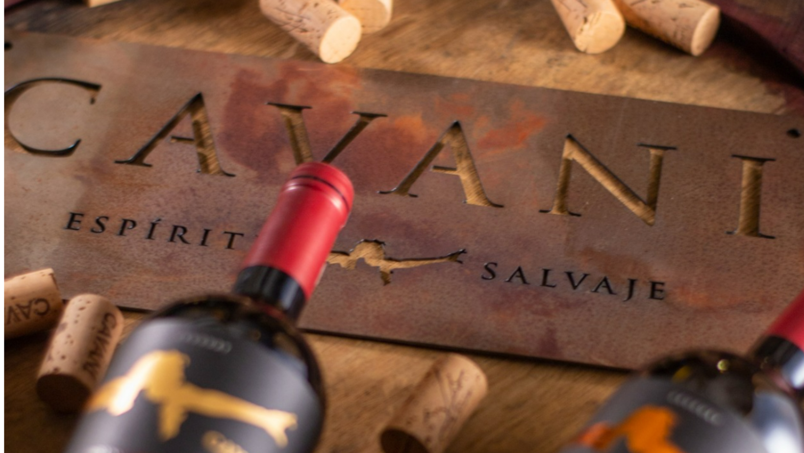 CAVANI Wines