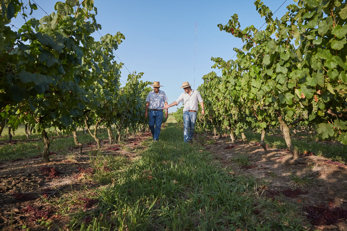 Pizzorno Family Estates