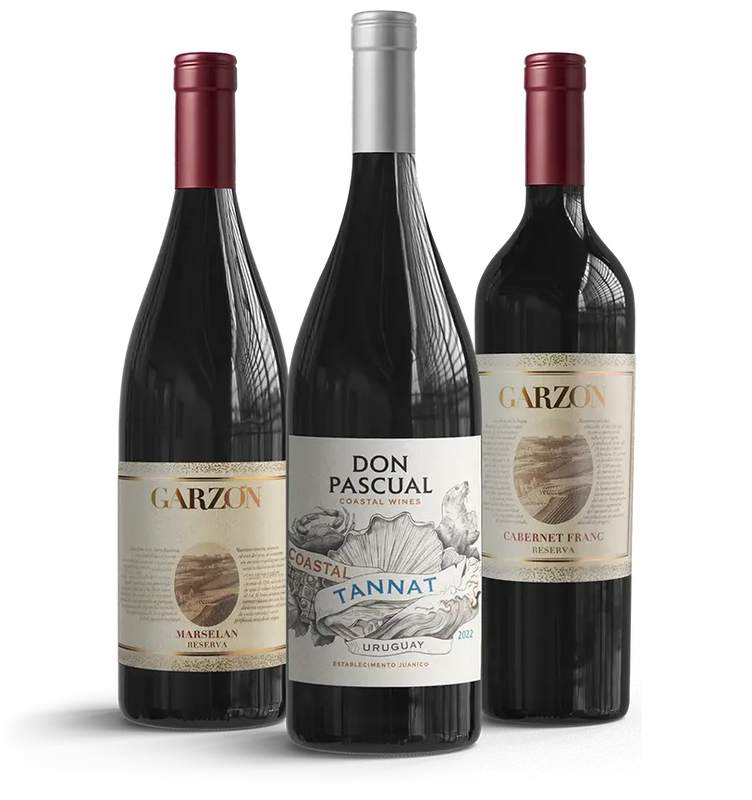 Taste of Uruguay - Reds