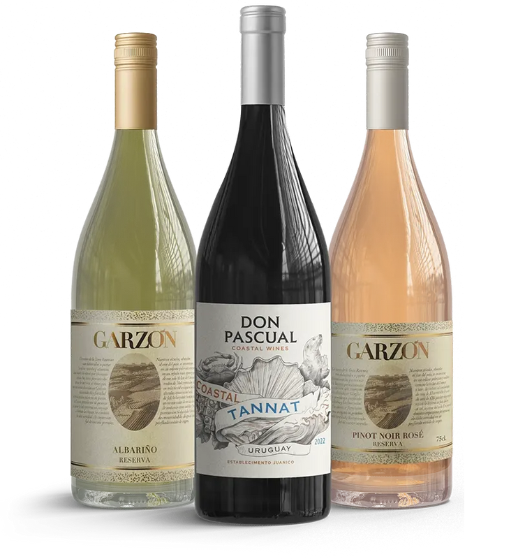 3 Pack Variety (A Taste of Uruguay)