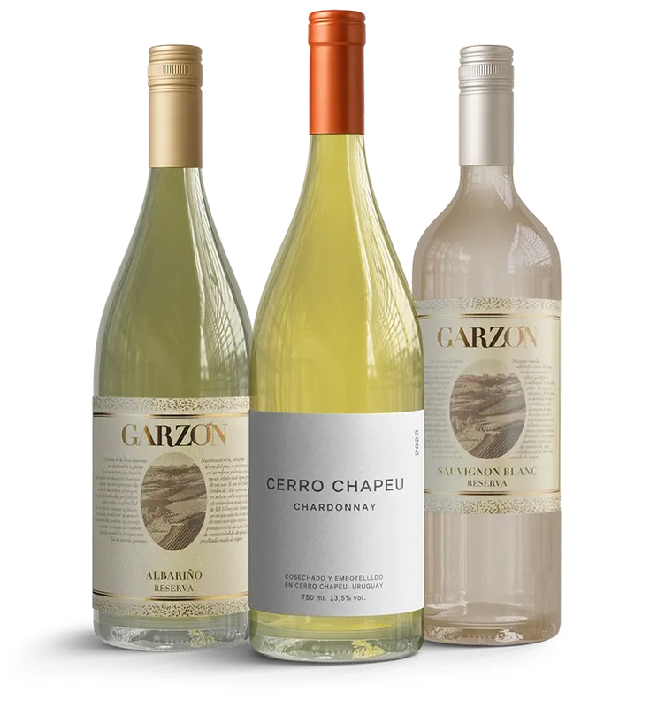 Taste of Uruguay - Whites