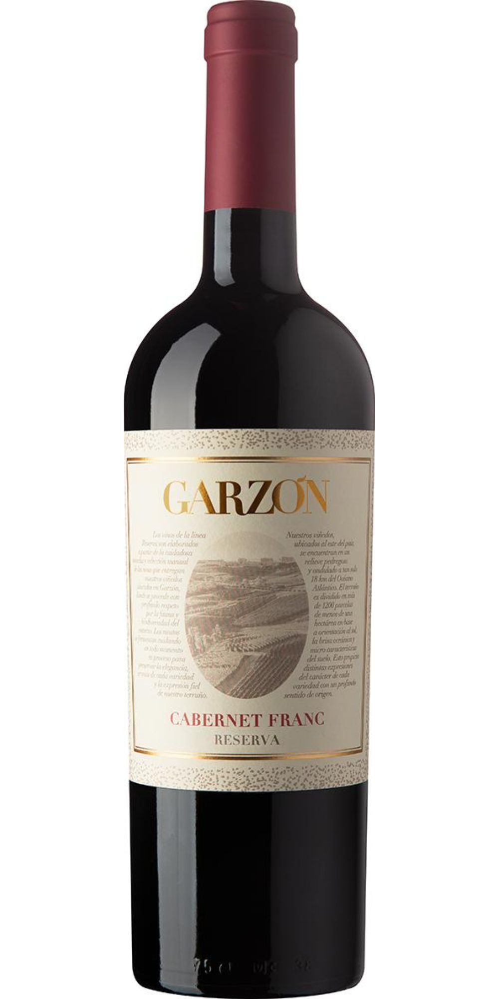 Bodega Garzon Cabernet Franc Reserva 2023