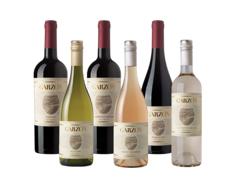 Bodgea Garzón Reserva Set de 6 botellas