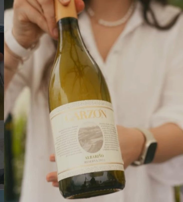 Bodega Garzon Albariño 2024 Reserva