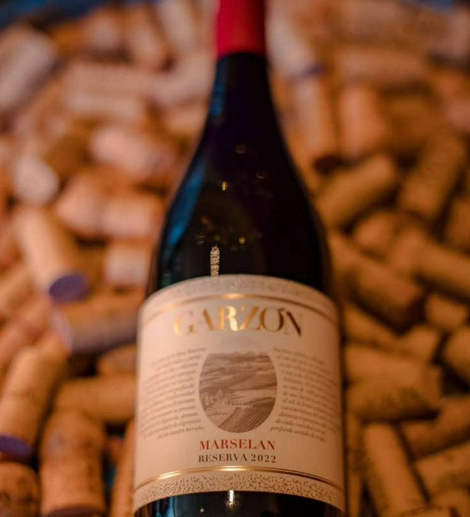 Bodega Garzon Marselan Reserva 2023