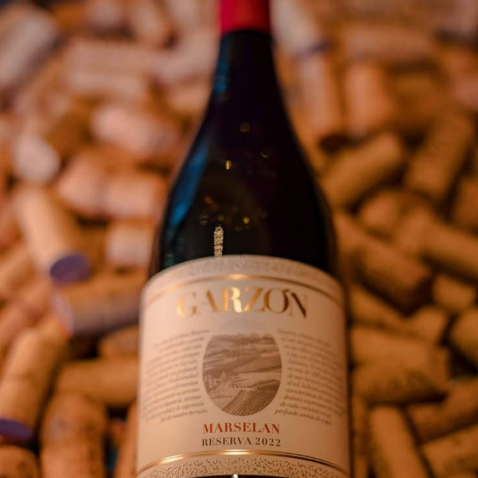 Bodega Garzon Marselan Reserva 2023