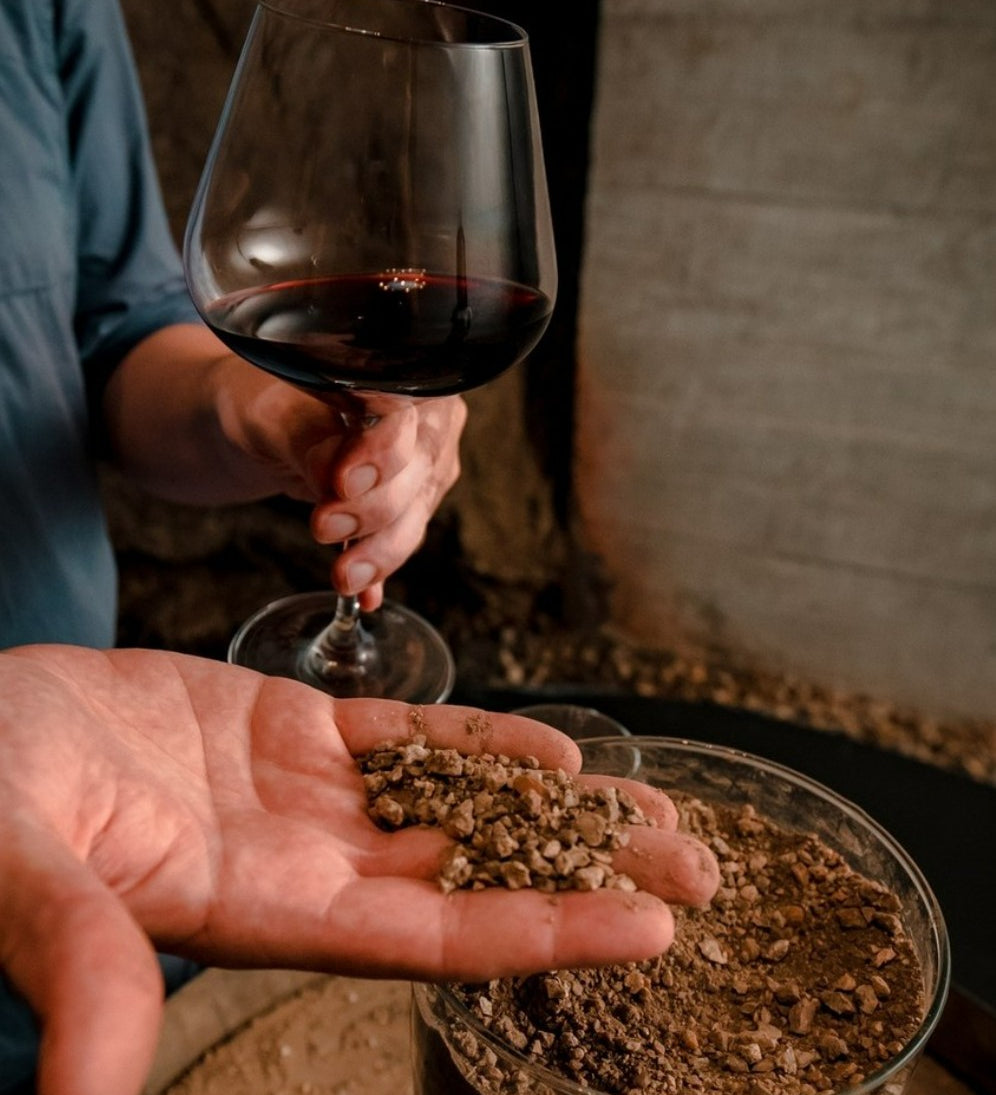 Bodega Garzon Single Vineyard Petit Verdot
