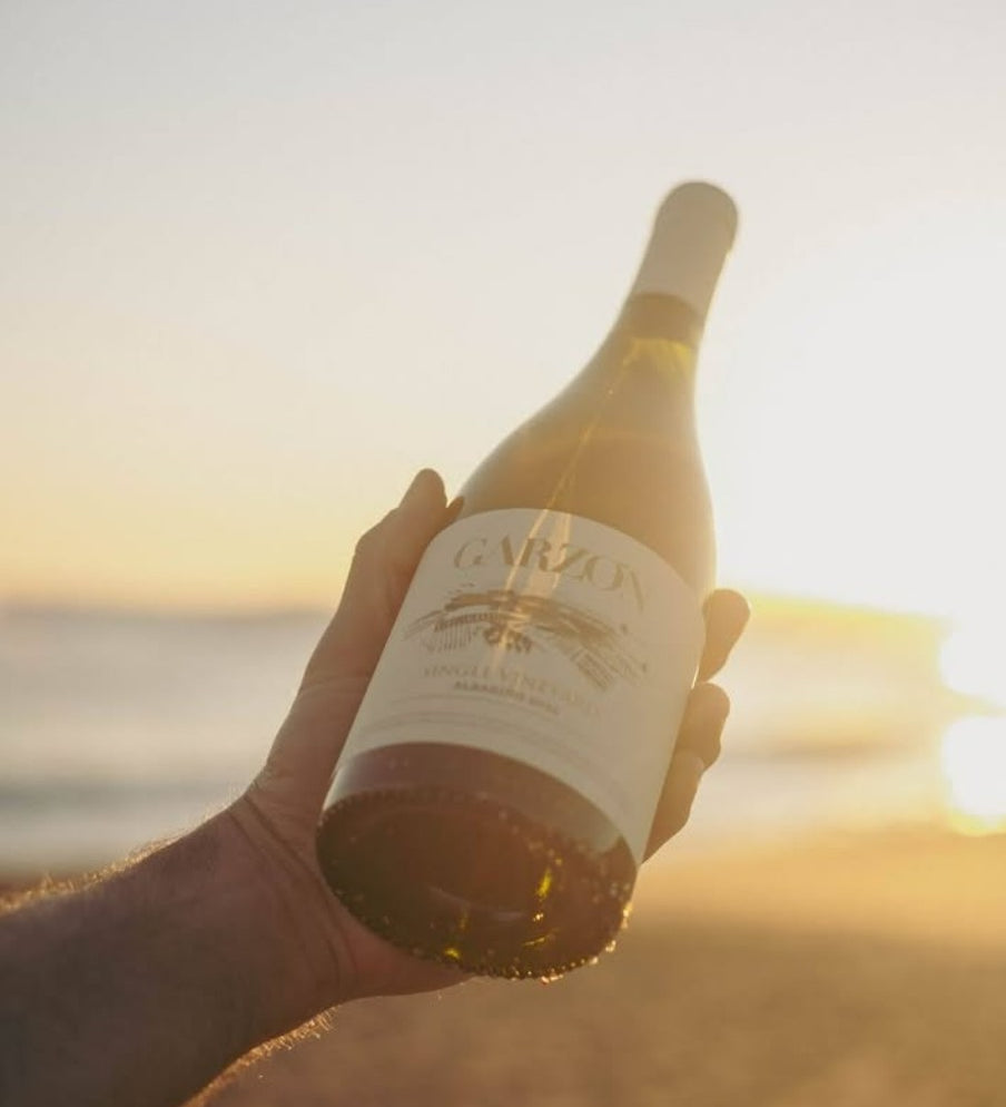 Bodega Garzon Albariño Single Vineyard 2024