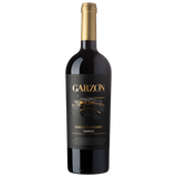 Bodega Garzon Tannat Single Vineyard 2020