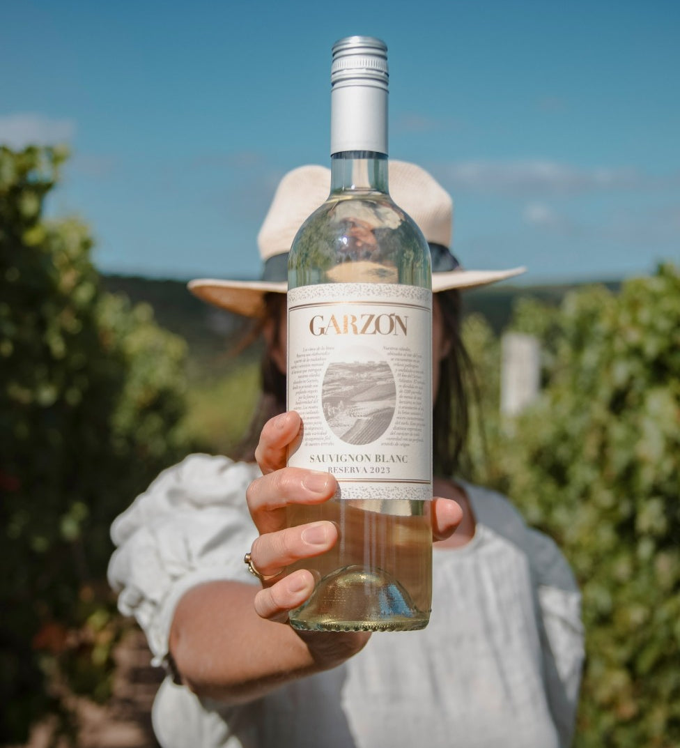 Bodega Garzon Sauvignon Blanc Reserva 2023