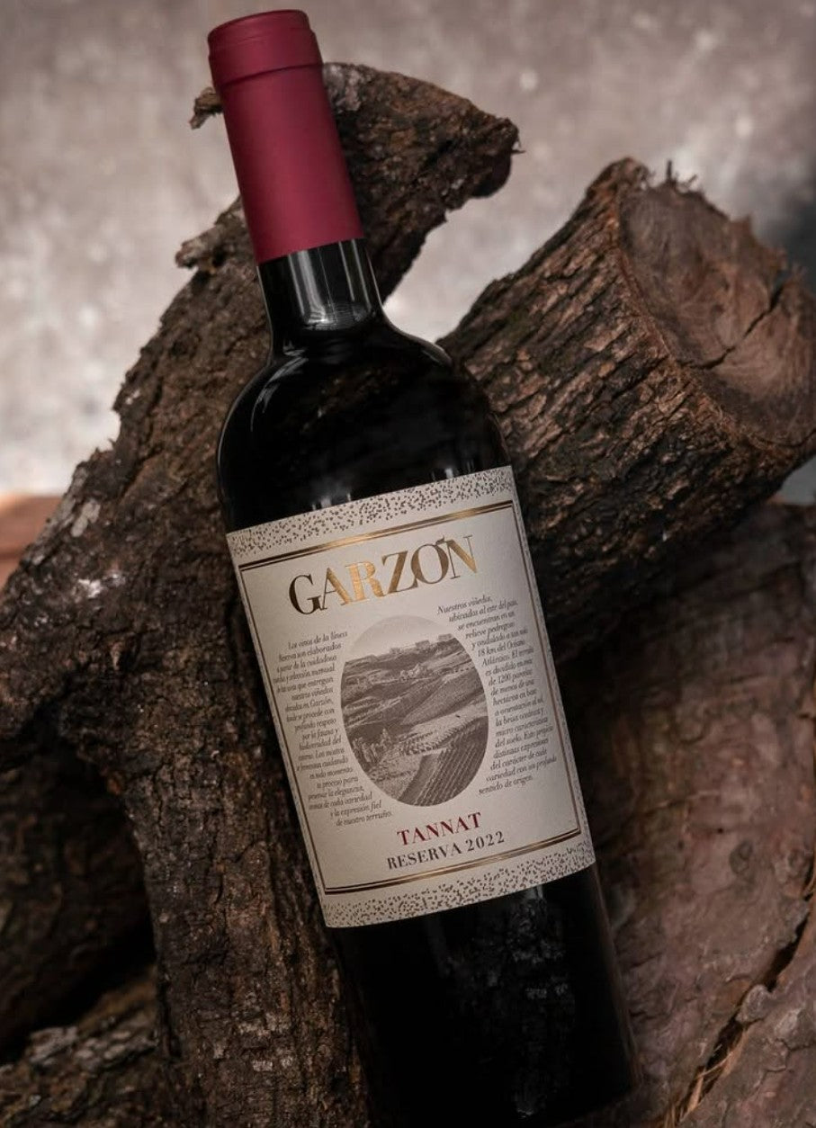 Bodega Garzon Reserva Tannat 2022