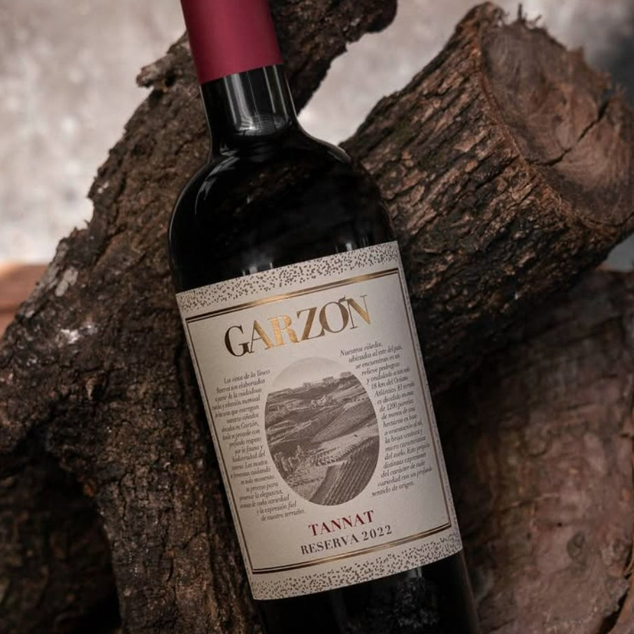 Bodega Garzon Reserva Tannat 2022