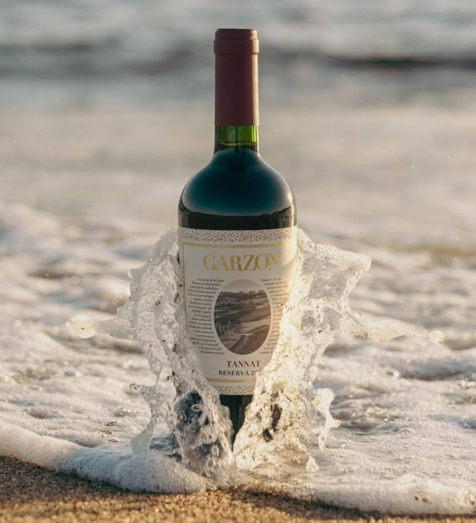 Bodega Garzon Reserva Tannat 2023