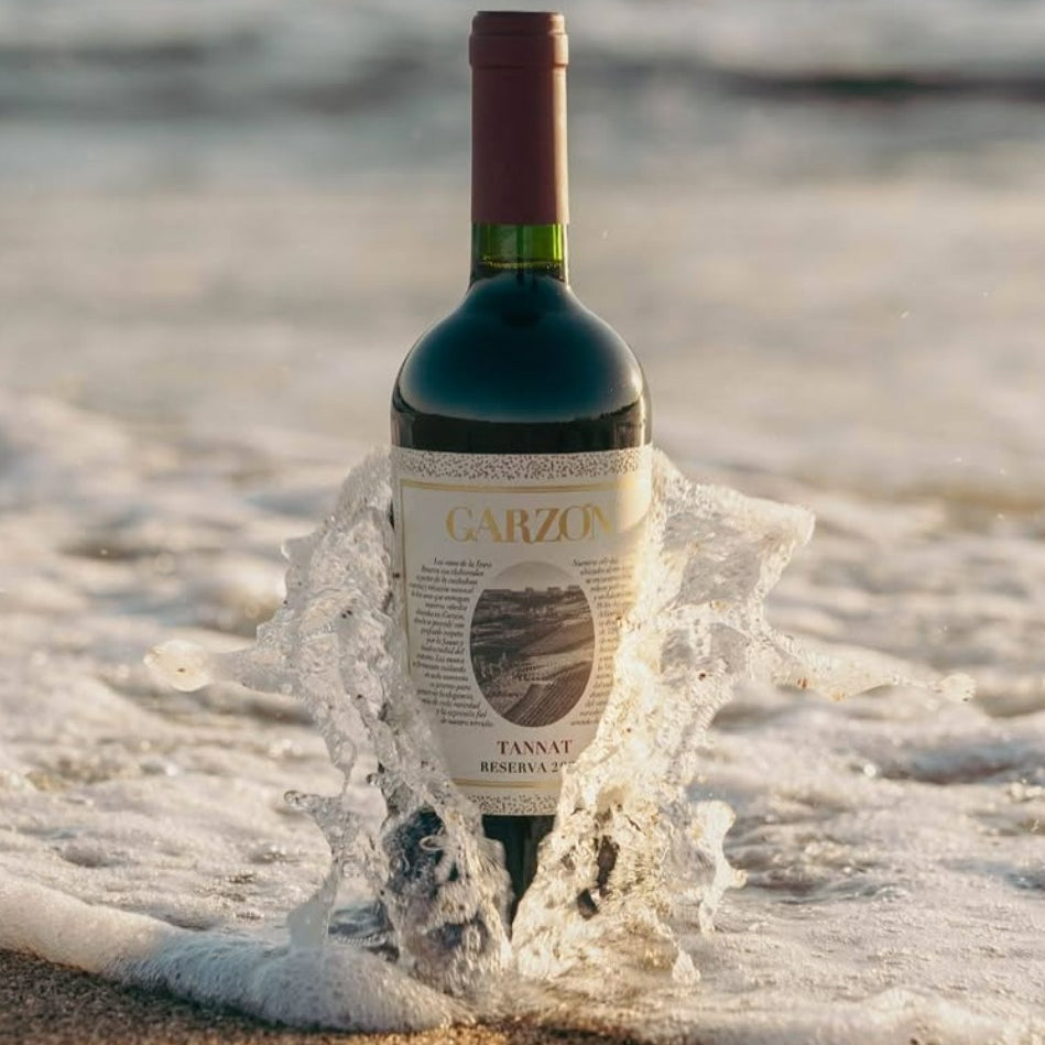 Bodega Garzon Reserva Tannat 2023