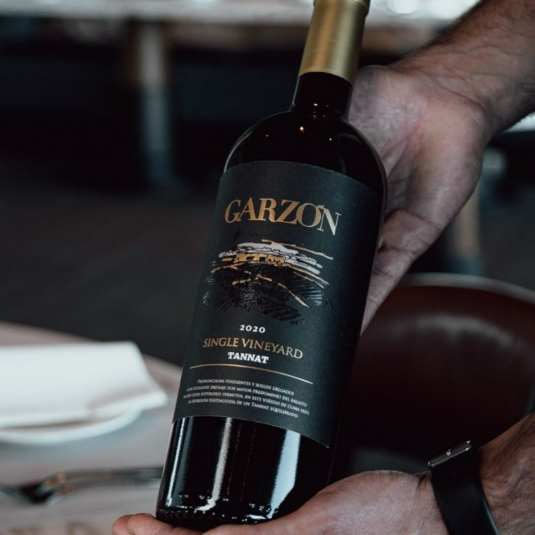 Bodega Garzon Tannat Single Vineyard 2020