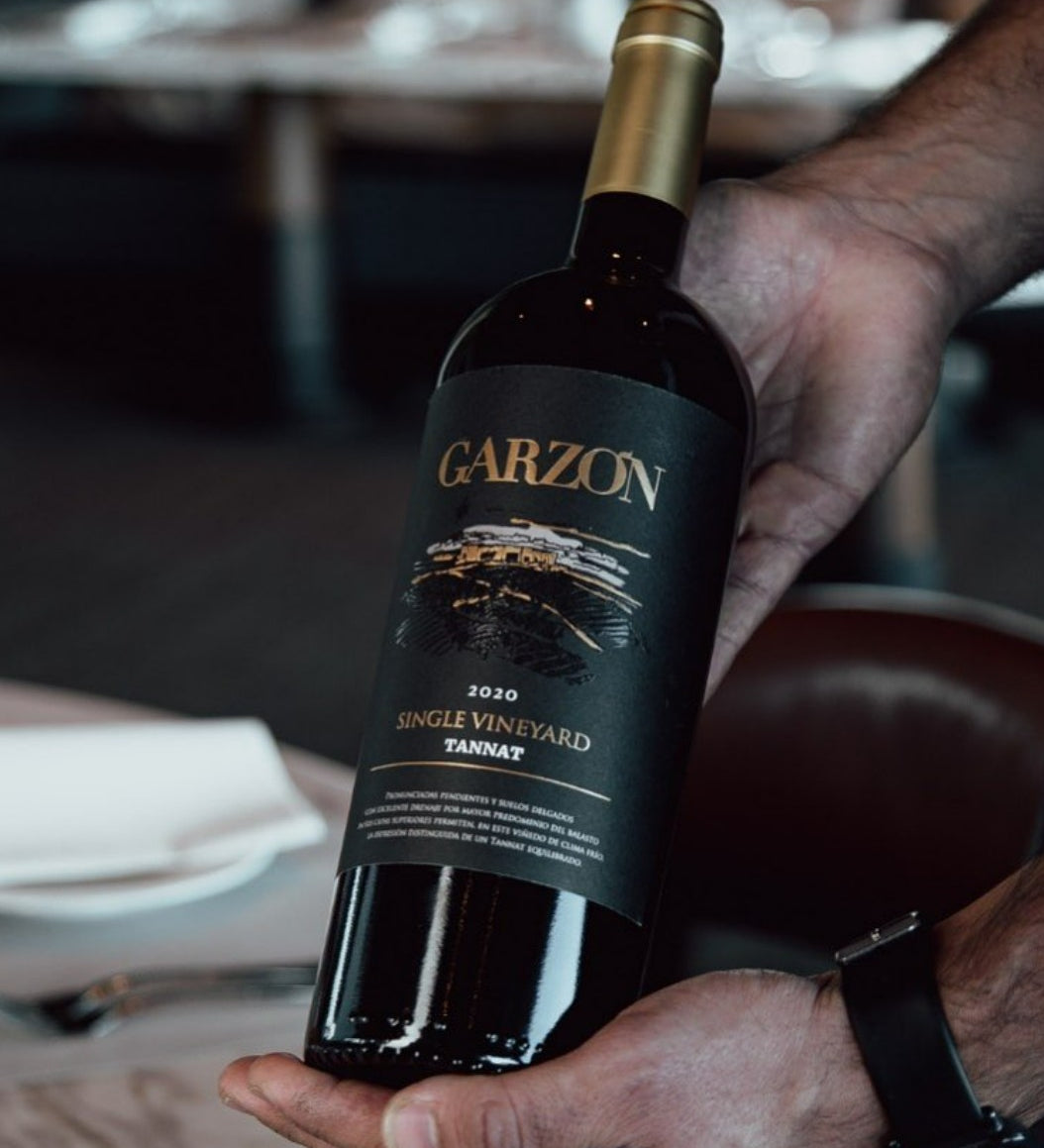 Bodega Garzón Tannat Viñedo Único 2022