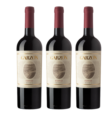 Bodega Garzon 2023 Tannat Trio