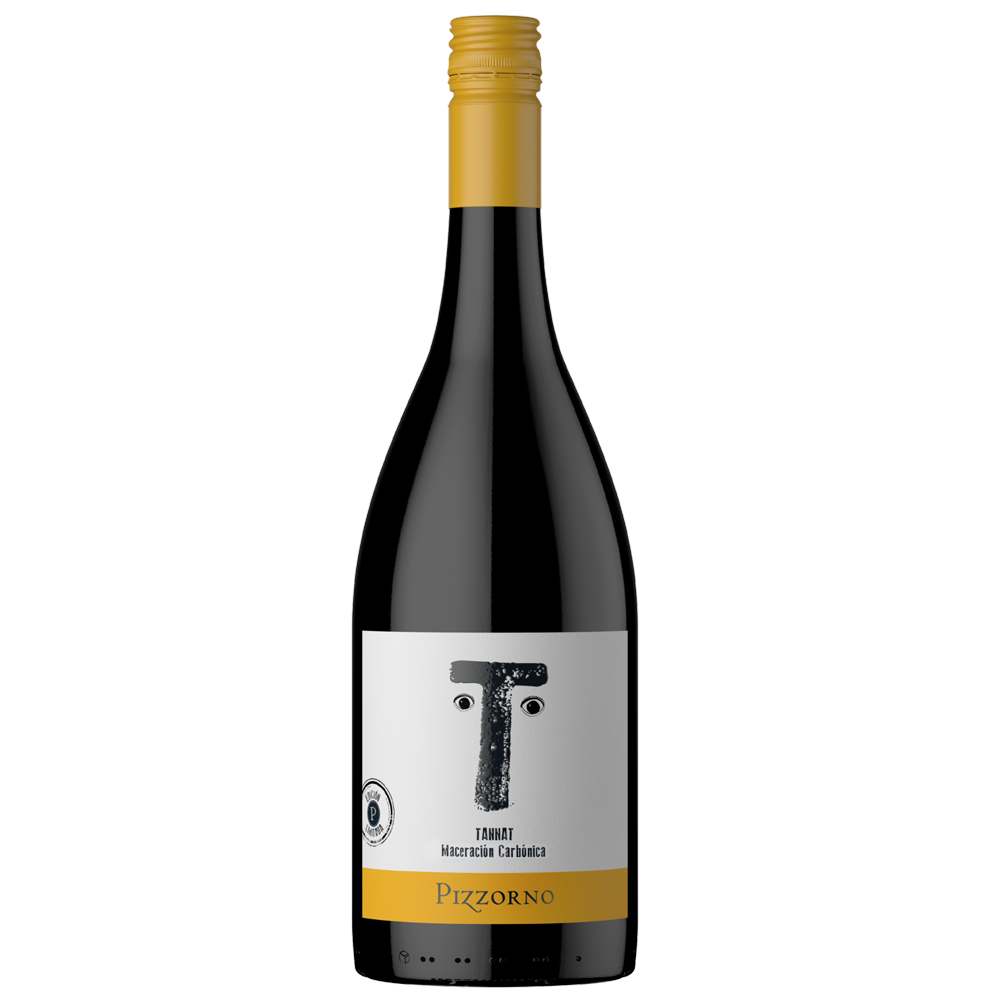 A bottle of Pizzorno Tintoretto Merlotto Cinque Terre red wine, featuring a dark glass bottle with a gold foil neck wrap and a white label with a black stylized letter 'T' and gold accents.