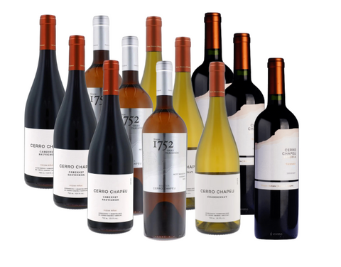 Bodega Cerro Chapeu Caso Mixto