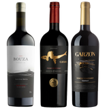 Premium Tannat Trio