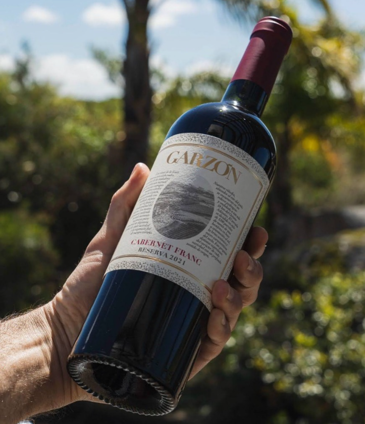 Bodega Garzon Cabernet Franc Reserva 2023