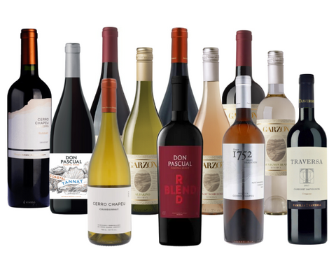 Taste of Uruguay - 12 Bottle Case