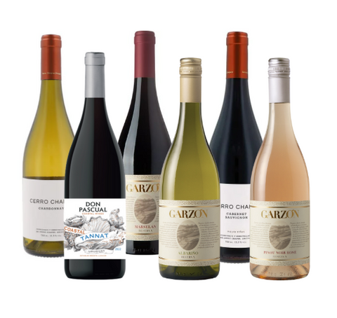 Sabor de Uruguay - Set de 6 botellas