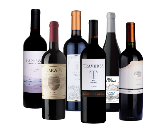 Tannat 6 Bottle Set