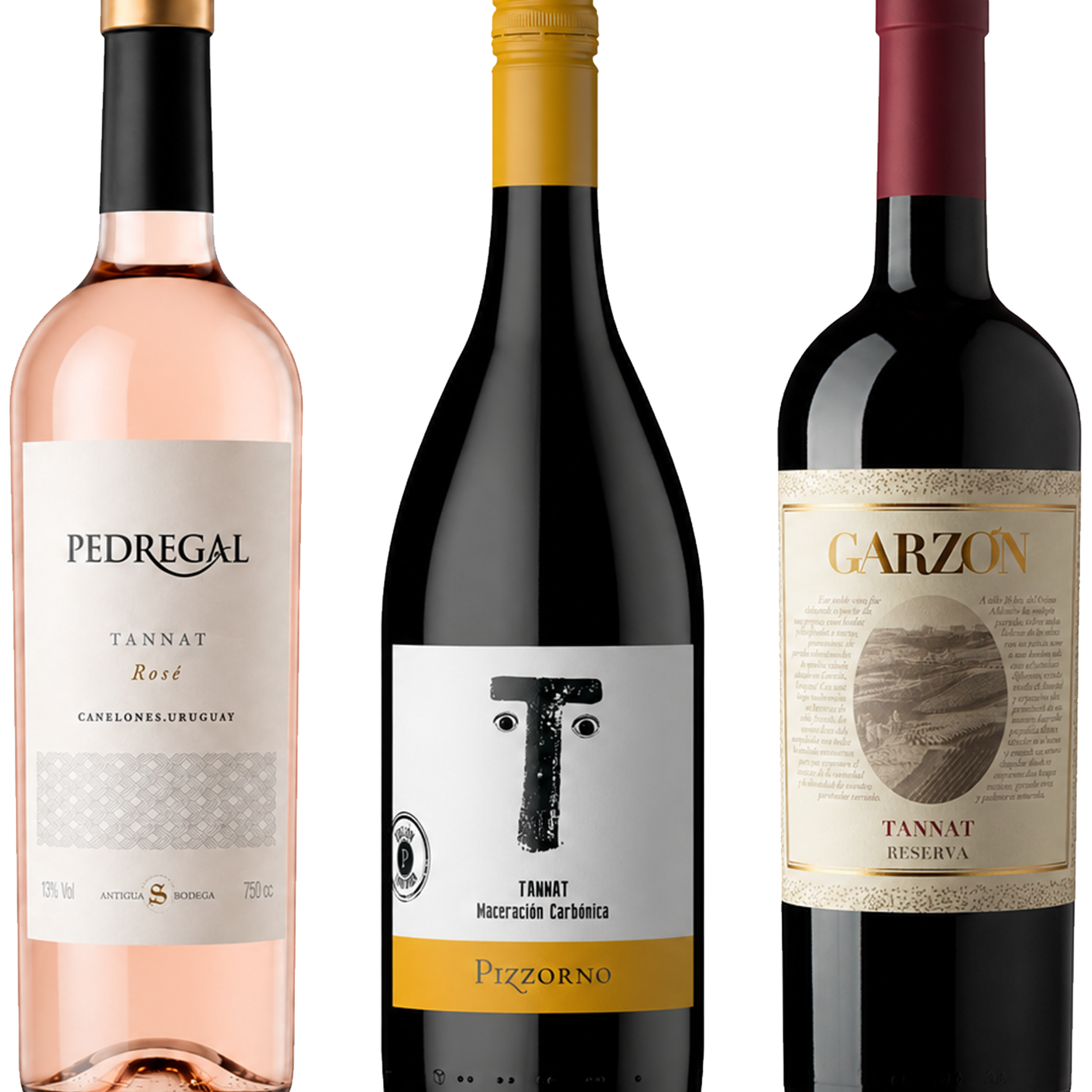 Three wine bottles arranged side by side on a white background: Pedregal Rosé on the left with a pale pink bottle and cream label, a dark bottle labeled Pizzorno in the center with a gold cap and white label, and Garzon on the right with a dark red bottle and beige label.