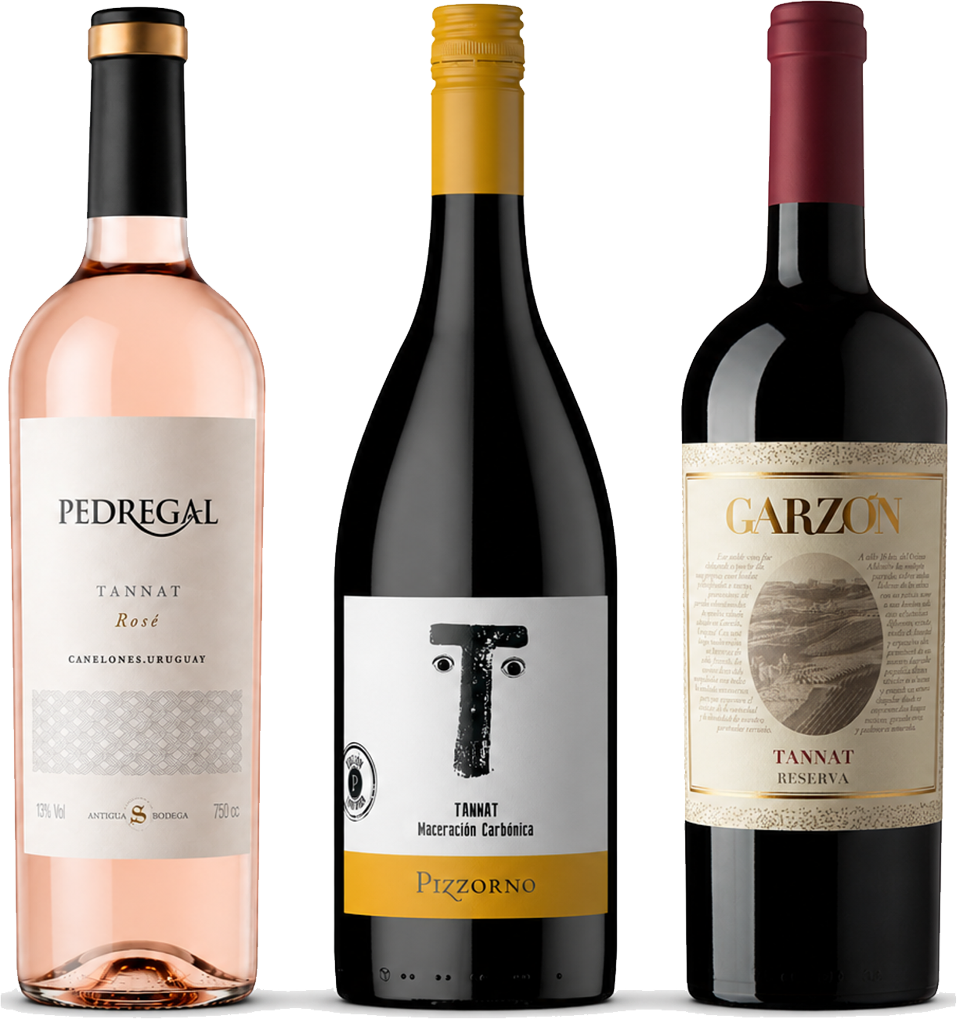 Three wine bottles arranged side by side on a white background: Pedregal Rosé on the left with a pale pink bottle and cream label, a dark bottle labeled Pizzorno in the center with a gold cap and white label, and Garzon on the right with a dark red bottle and beige label.