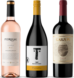 Three wine bottles arranged side by side on a white background: Pedregal Rosé on the left with a pale pink bottle and cream label, a dark bottle labeled Pizzorno in the center with a gold cap and white label, and Garzon on the right with a dark red bottle and beige label.