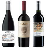 Tannat Wine Trio