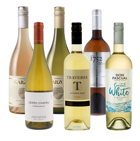 Uruguay White & Rose Discovery 6 Bottle Case